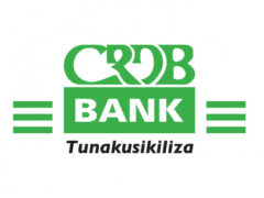 Senior Specialist-Accounting And Reporting (3 Years Contract) at CRDB Bank July 2026