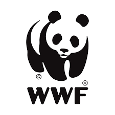 Request for Proposals – Consultancy to Develop PSEAH Training Materials and Country-Specific Training Packages at WWF August 2026