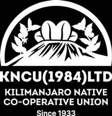 General Manager vacancy at KNCU (1984) Ltd in Moshi September 2026